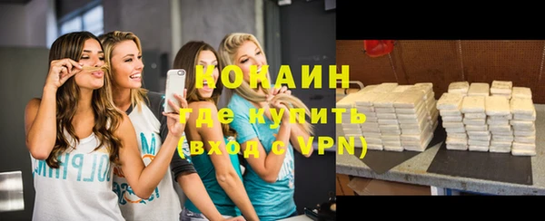 mix Богородицк