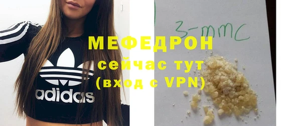 ECSTASY Богданович