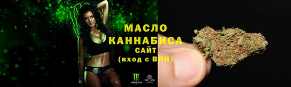 mix Богородицк