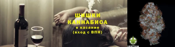 mix Богородицк