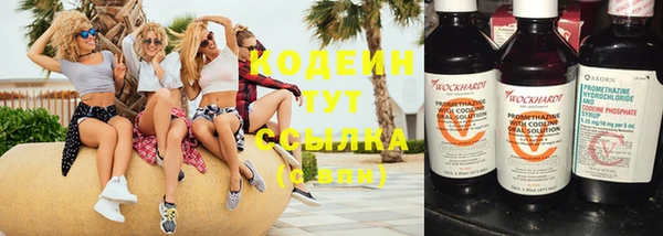 mix Богородицк
