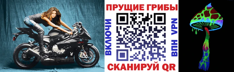 Купить где  Бабаево  Галлюциногенные грибы Psilocybe 