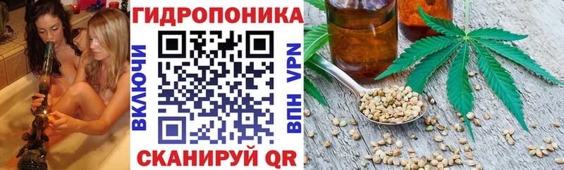 Купить  Бабаево  МАРИХУАНА планчик 